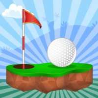 Hole in One