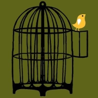 Free Bird